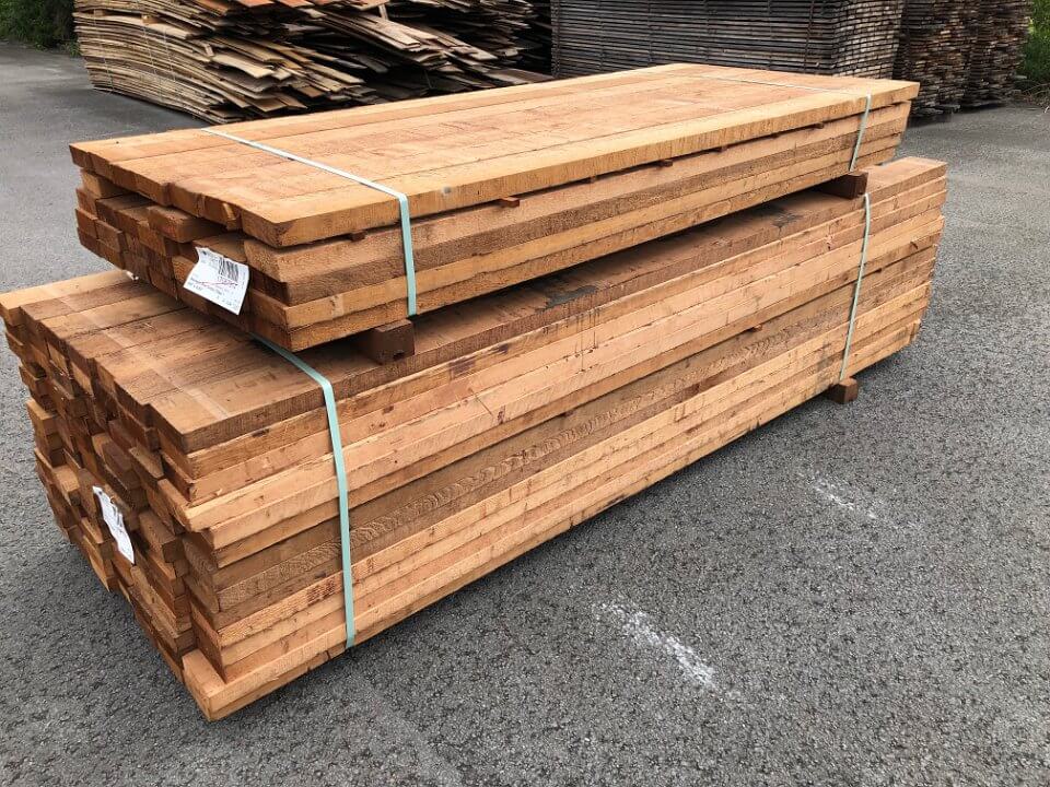 Żywotnik olbrzymi (Western Red Cedar)
